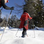 Adirondack Cross Country Skiing