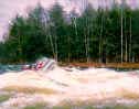 Group on the rapids