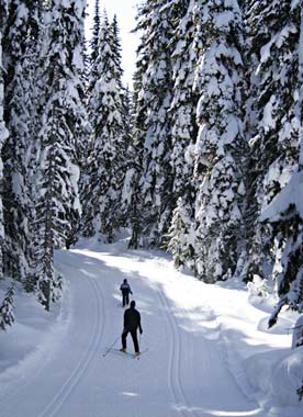 Skiing In The Adirondacks