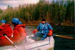 Moose guide