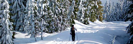 Cross Country Skiing  In the Adirondack Mountains