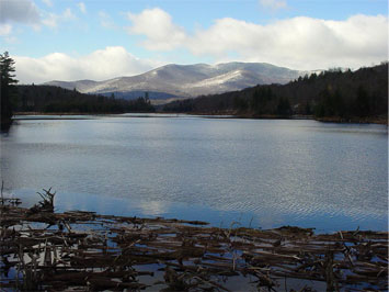 NewComb ny