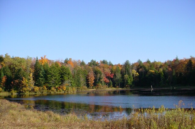 Stratford