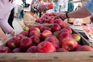 Apples at an Adirondack Farmers