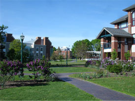 Canton Ny