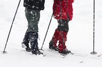 Couple Cross Country Skiing Together