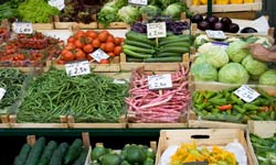 Fall Farmers Market