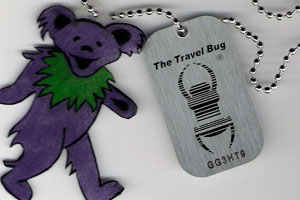 thumbnail image 2 of Geocaching Travel Bug Silver With Copy Tag - Original Groundspeak Standard Travelbug 2 of 6