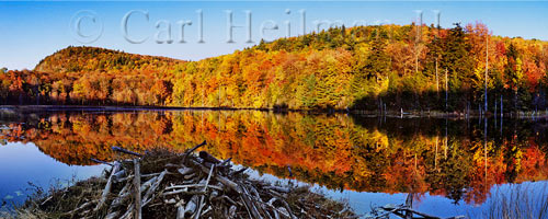 Adirondack leaf peeping