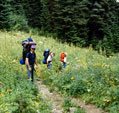 People hiking