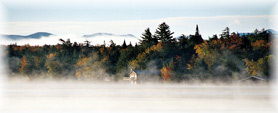 Town of Lake Placid NY in the heart of the of the Adirondacks