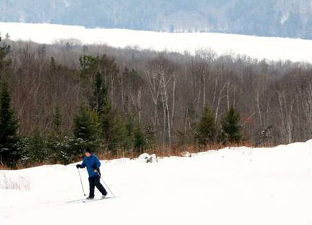 a cross-country skier