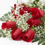 rose
