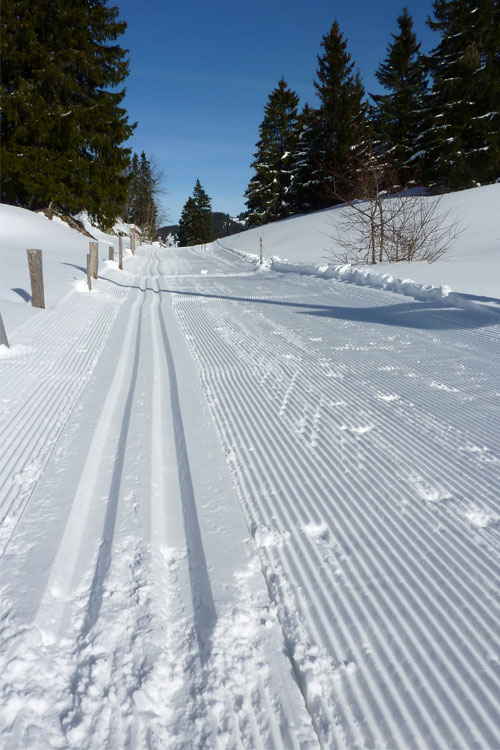 Adirondack Cross Country Skiing & Snowshoeing Trails