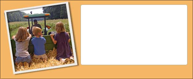Children Going For A Hayride in the Adirondacks
