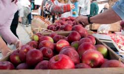 Apples at a Local Farmers Market