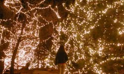 2012 Holiday Events