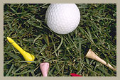 Golf Courses