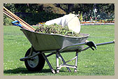 Adirondck business for your new Home and Garden