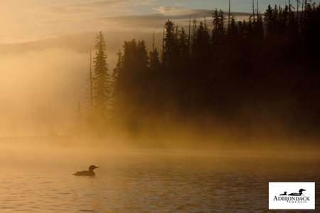 Adirondack-Park.jpg