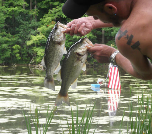 Man pulling two trout out of the water