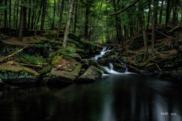 Small waterfallbetween the trees into a serene pond