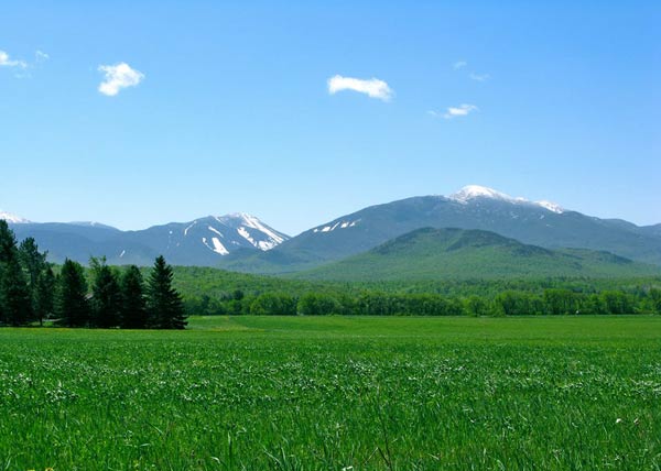 Mountains rising up behind a green pasture in spring