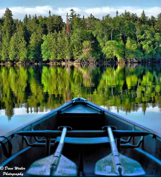 Overlooking trees reflecting on a lake from a canoe