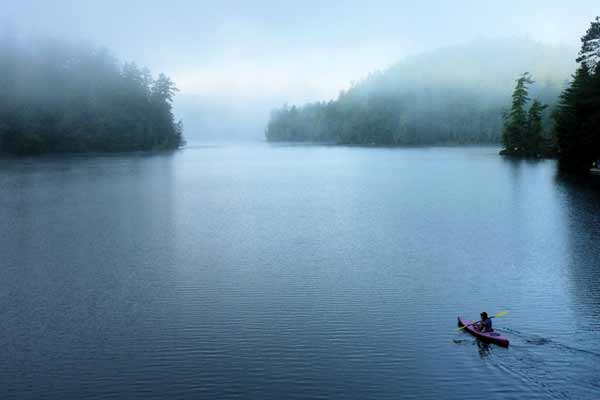 kayaker paddles out on a misty morning