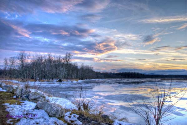 icy and snowy pond lined by bare trees