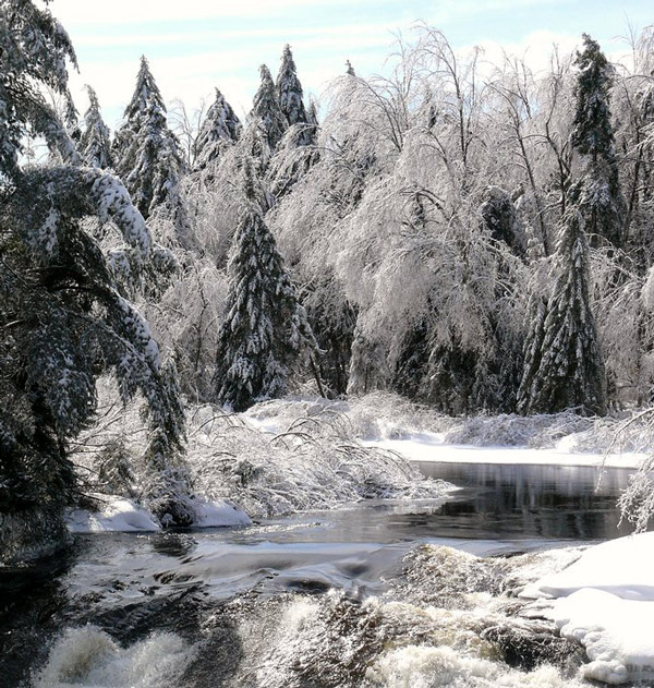 Bog River lined with iced over trees