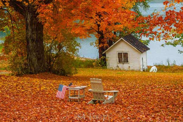 Sharron Tyrrell: On the Shore of Schroon Lake