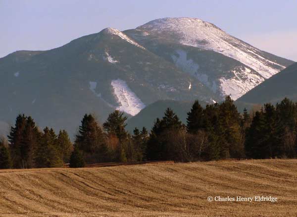 Snow on Mt Colden as seen from an open field