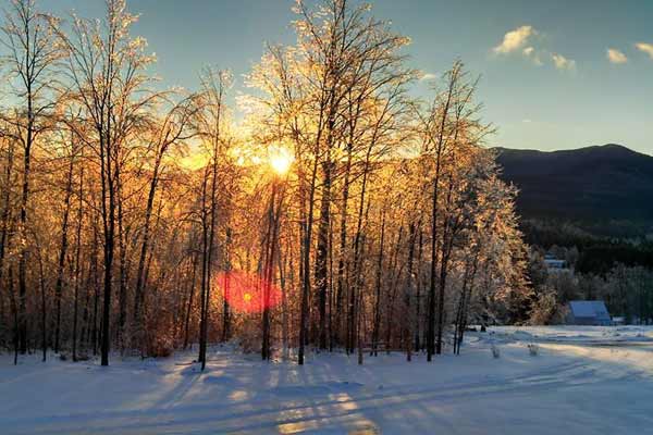 Frosty morning in Jay: Debra Fox-Newman.