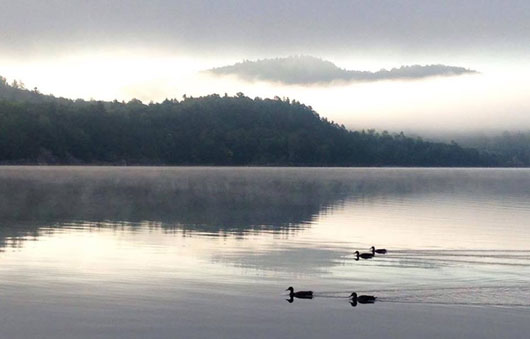 birds on indian lake