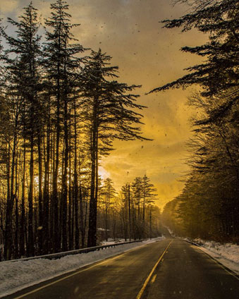 sun setting over a road