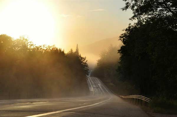 foggy morning light looking down a winding road