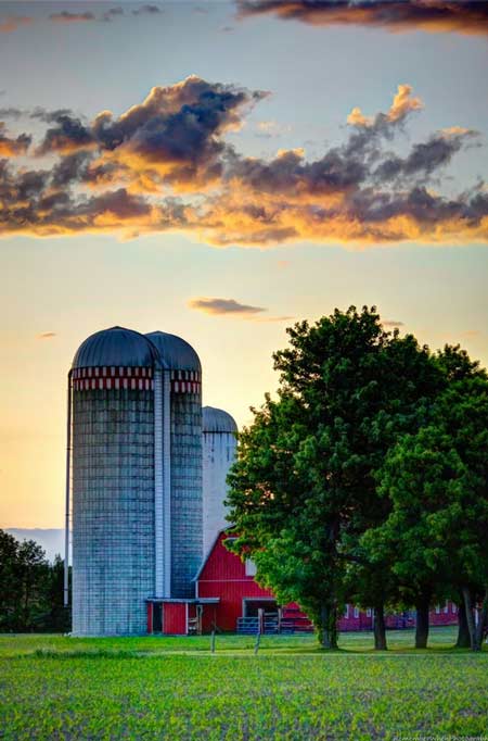 red barn and grain silos behind green trees at sunset