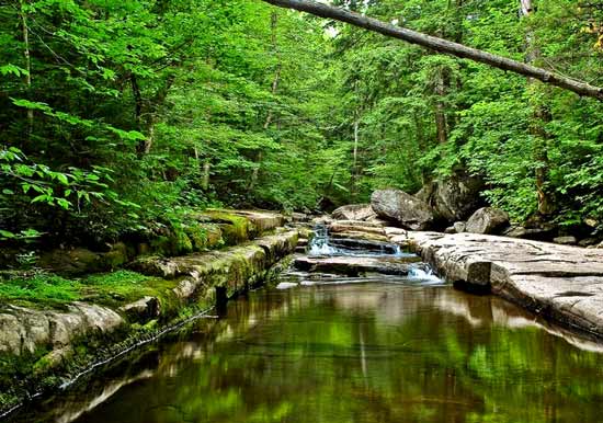 small waterfall on Mill's stream surrounded by lush green trees