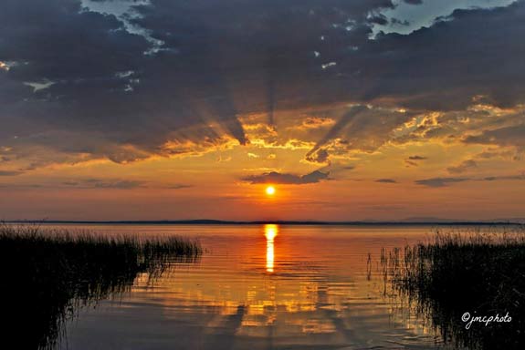 sunset reflecting over a lake lined by marsh plants