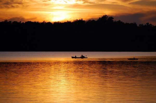 silhoutte of canoers and trees backlit by a golden sunset