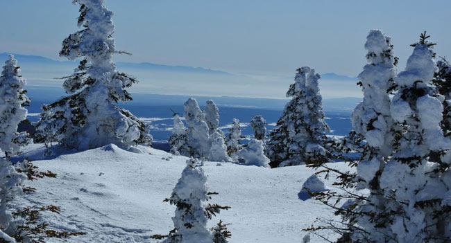 Adirondack snow after storm