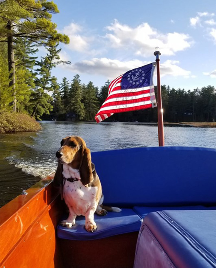 basset hound on a boat