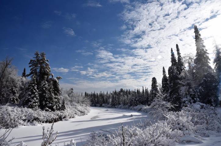 Snowy path lined with snowy trees