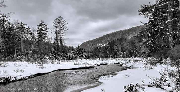 moss lake in the adirondacks