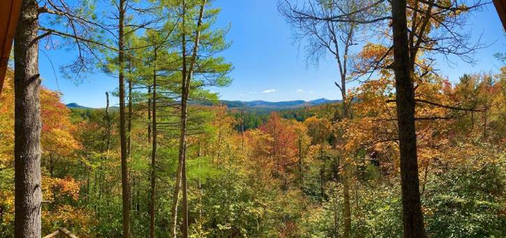 Mountains in distance, fall tress in foreground