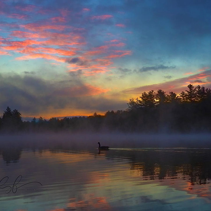 dawn at old forge pond