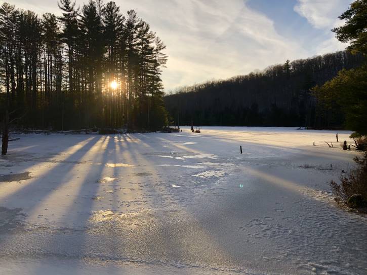 Frozen pond with sun shining through the trees