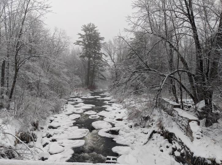 Roaring river in the winter with snowy trees