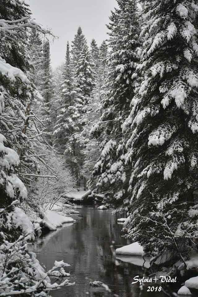 big brook indian lake